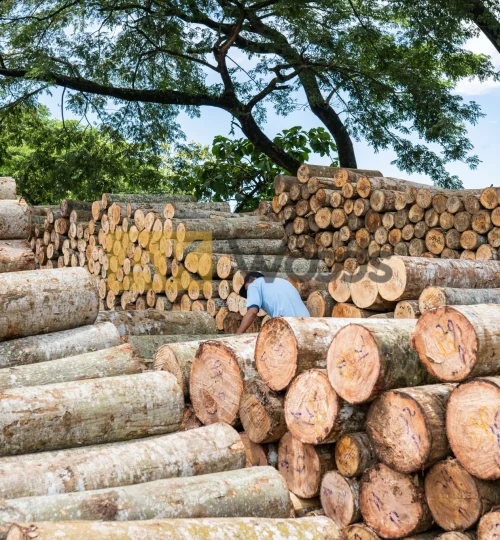 abhirama kresna (10)