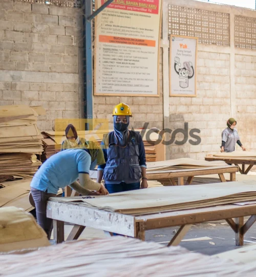 abhirama kresna (15)