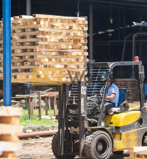 abhirama kresna (31)