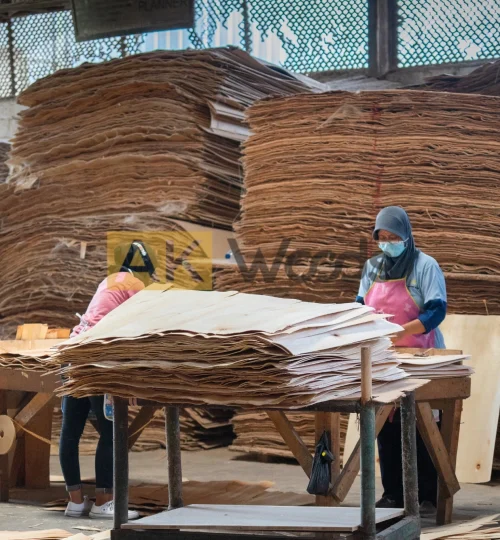 abhirama kresna (39)