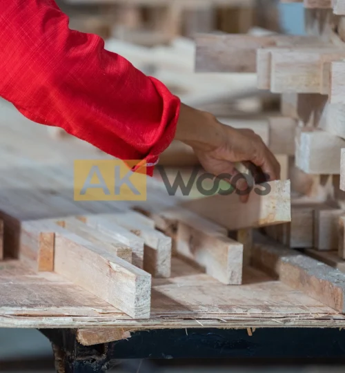 abhirama kresna (49)