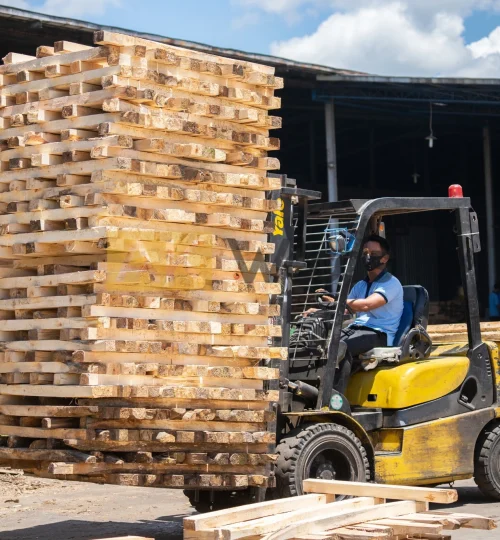 abhirama kresna (58)