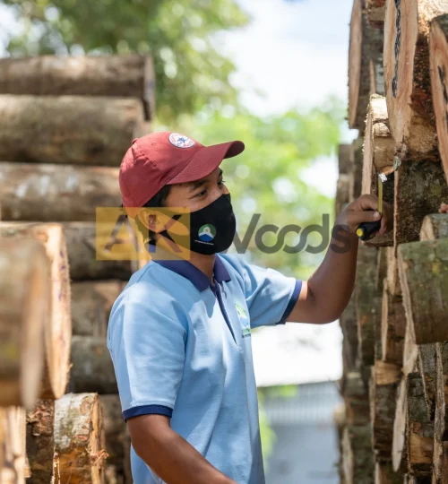 abhirama kresna (63)