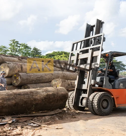 abhirama kresna (69)