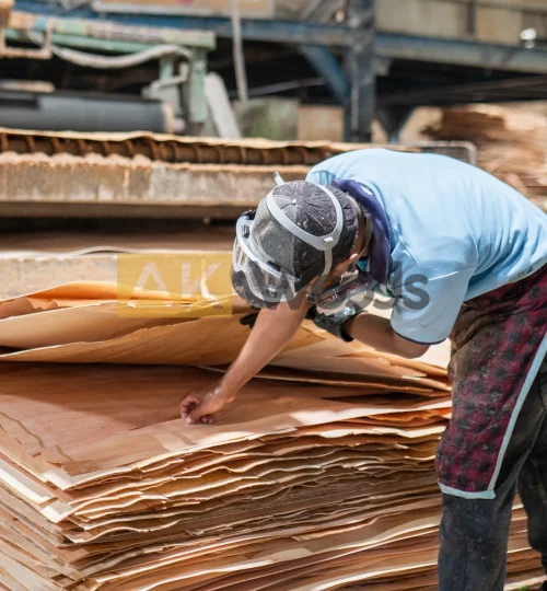 abhirama kresna (75)