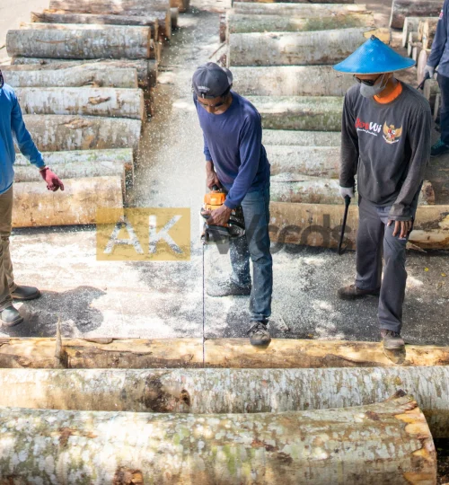 abhirama kresna (89)