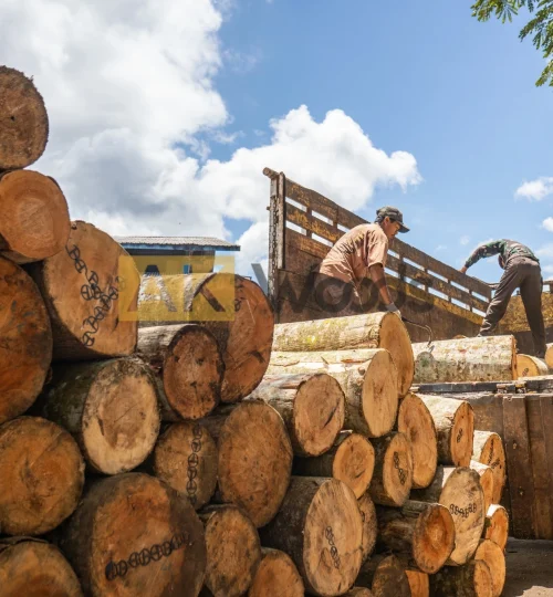 abhirama kresna (95)